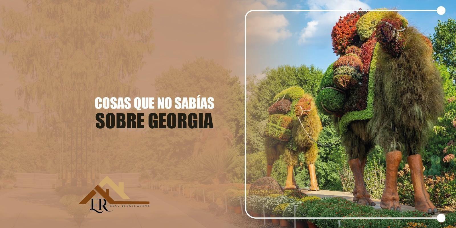 COSAS QUE NO SABIAS SOBRE GEORGIA